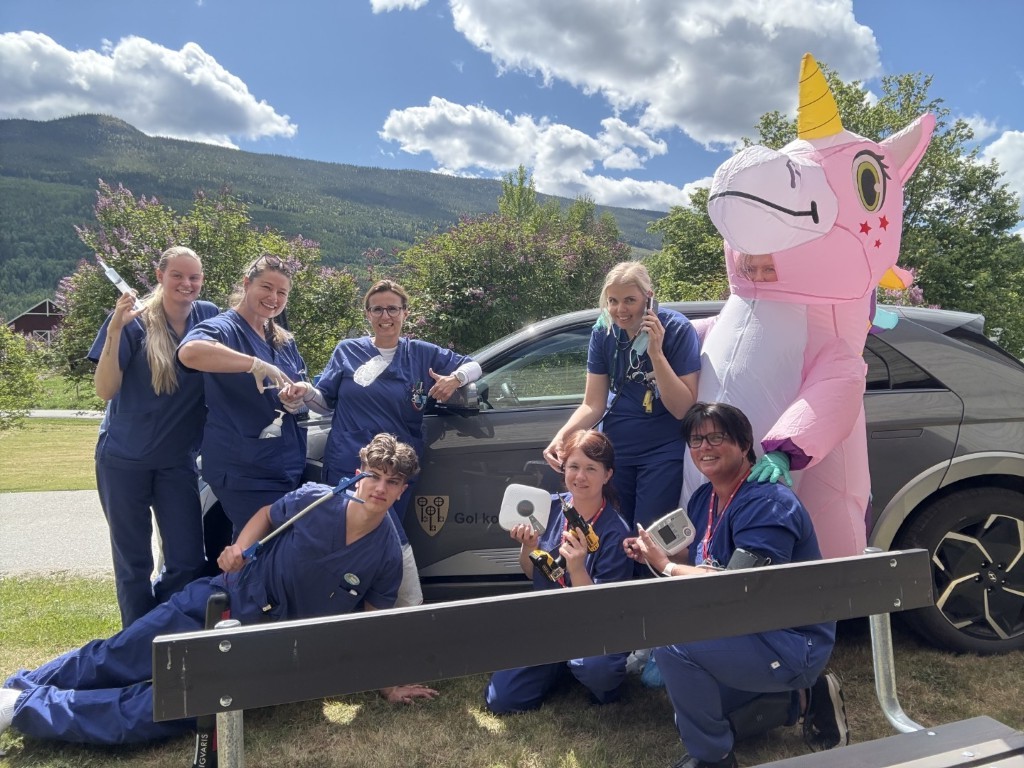 Gol kommune Heimetenesta